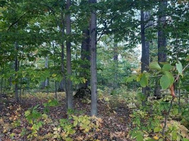 House for sale in Harbor Springs, Emmet County