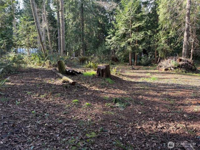 Land for sale in Hansville, Washington