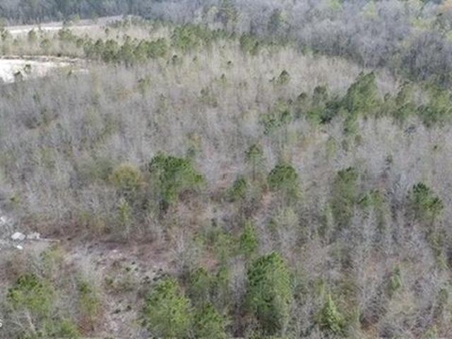 House for sale in Riegelwood, North Carolina
