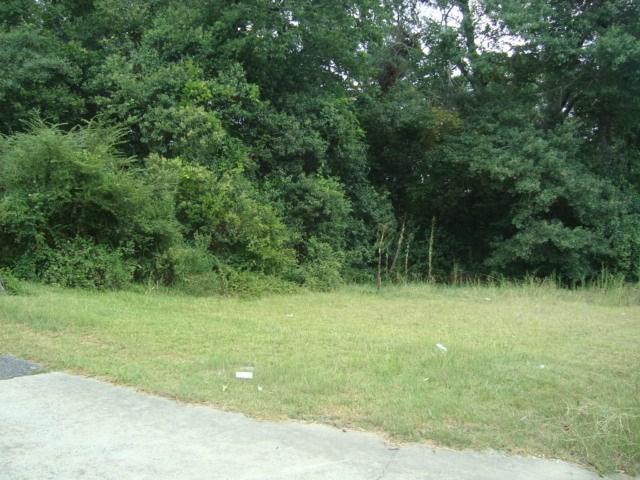 House for sale in Box Springs, Georgia