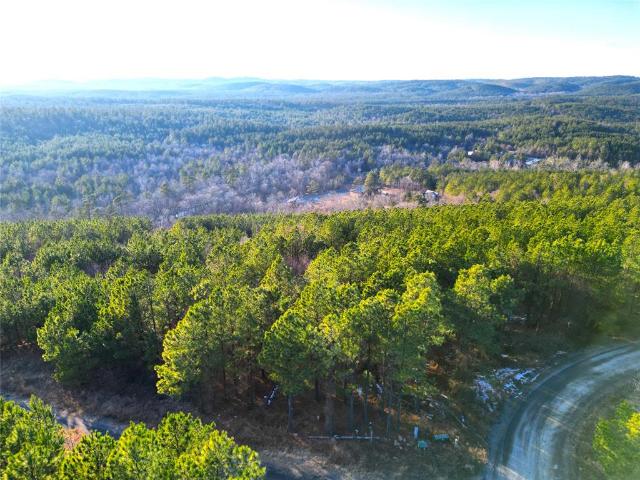 Land for sale in Broken Bow, Oklahoma