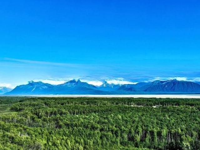 Land for sale in Wasilla