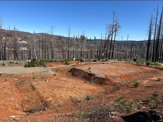 Land for sale in Grizzly Flats, California