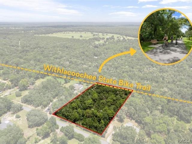 Land for sale in Hernando, Florida