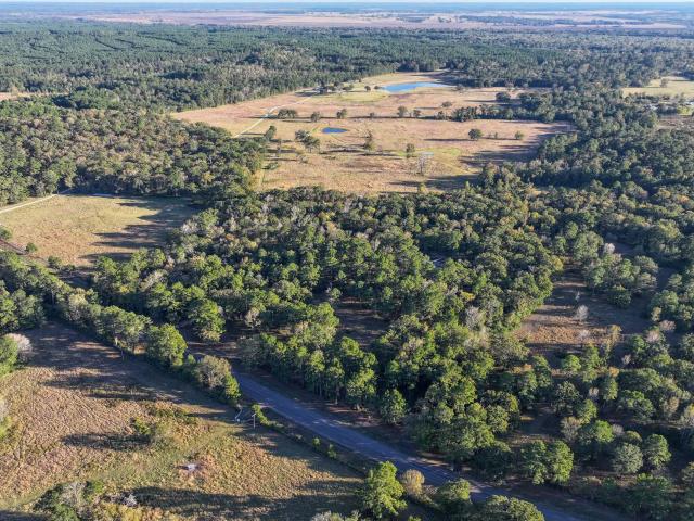 Farm for sale in Walker, Texas