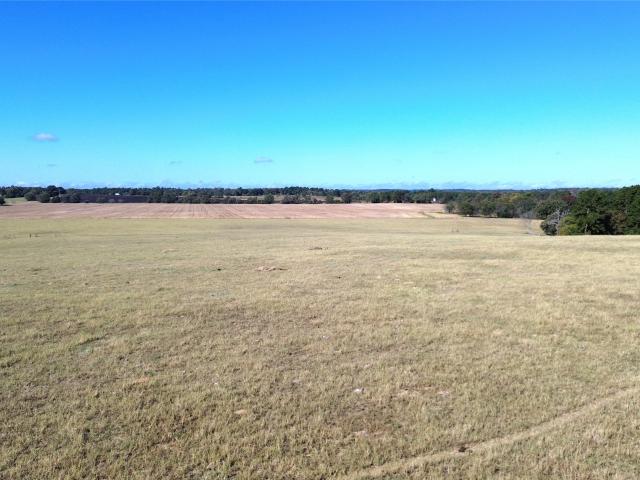 Land for sale in Grapeland, Texas
