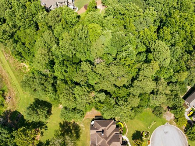 Land for sale in Flowery Branch, Georgia