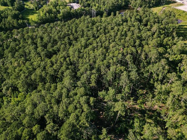 Land for sale in Evans Land for sale in Evans