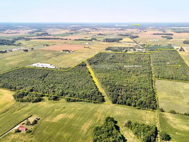 Land for sale in Orleans, Indiana