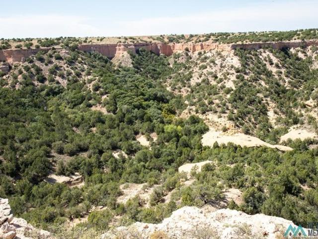 Farm for sale in Quay, New Mexico