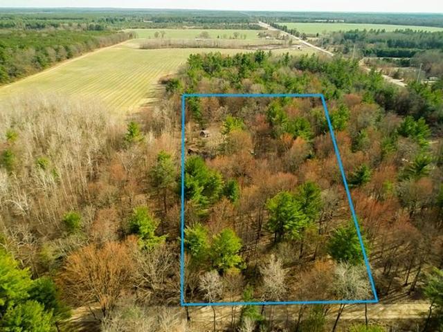 Land for sale in White Cloud, Michigan