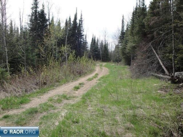 Land for sale in Embarrass, Minnesota