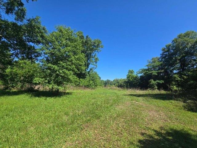 Land for sale in Newton, Texas
