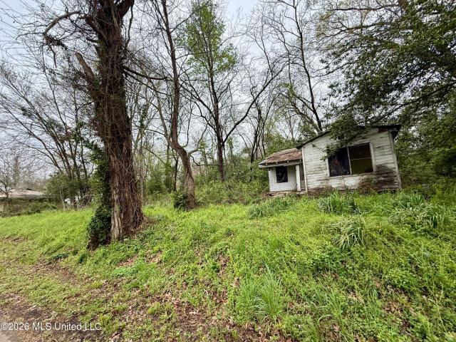 Land for sale in Natchez, Mississippi
