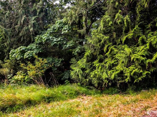 Land for sale in Washington