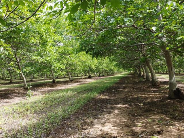 Land for sale in Glenn, California