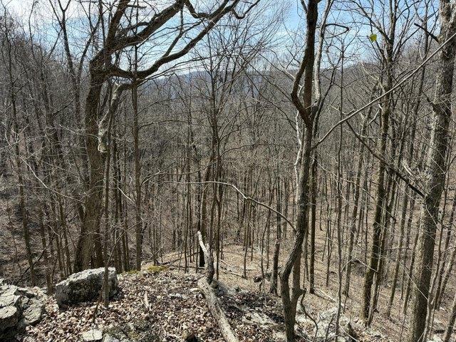 Land for sale in Tennessee
