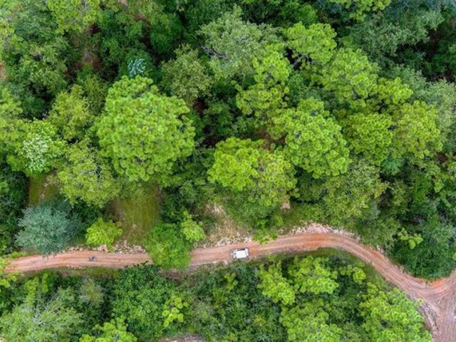 Land for sale in Mc David, Florida