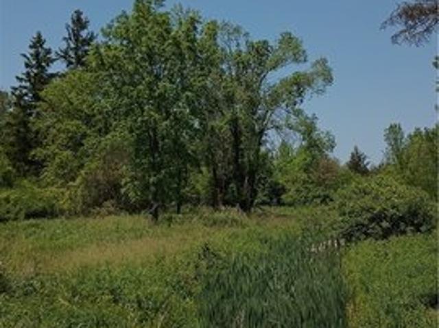 Land for sale in Bowmansville, New York