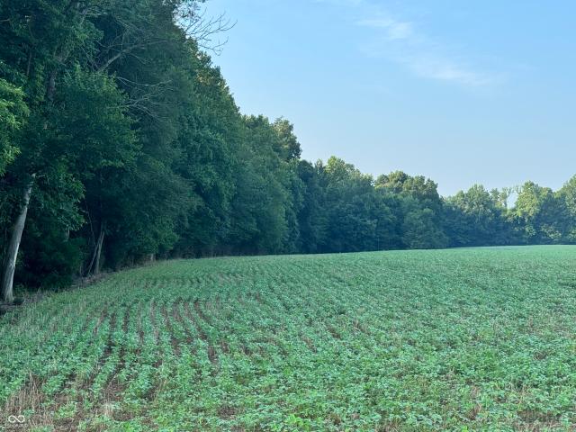 Land for sale in Brazil