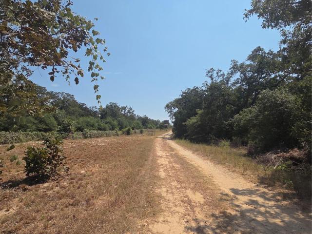 Land for sale in Milam, Texas