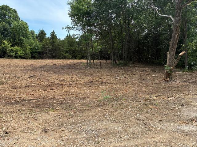 Land for sale in Keytesville, Missouri