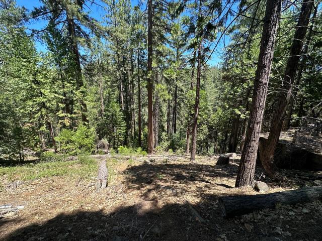 Land for sale in Avery, California