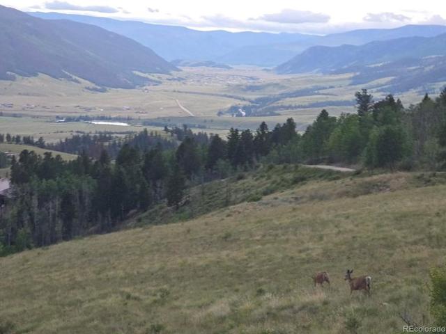Land for sale in Mineral, Colorado