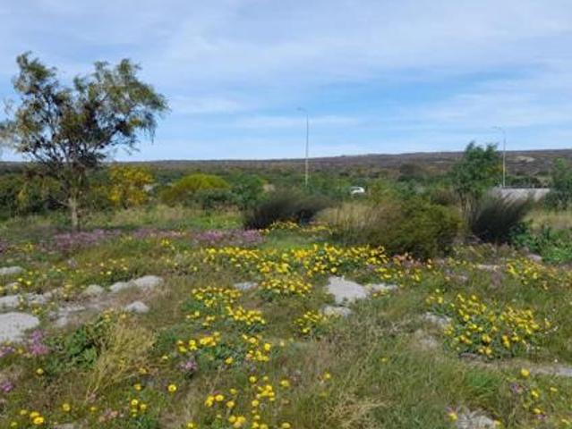 Land for sale in Western Cape