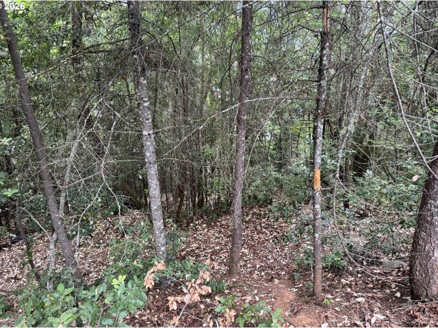 Land for sale in Oregonia