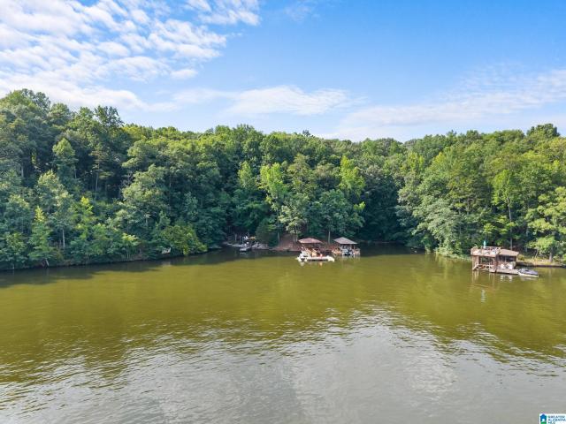 House for sale in Wedowee, Alabama