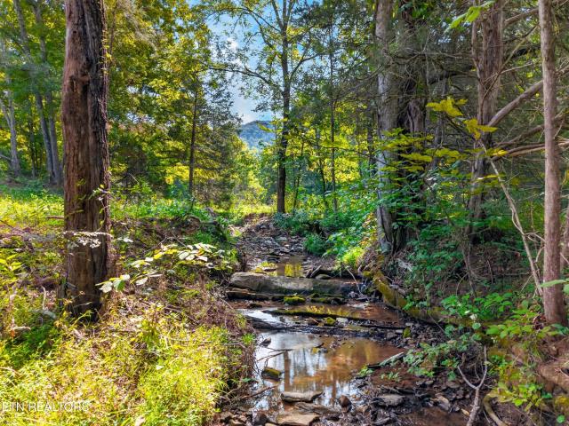 Land for sale in Washburn, East Tennessee