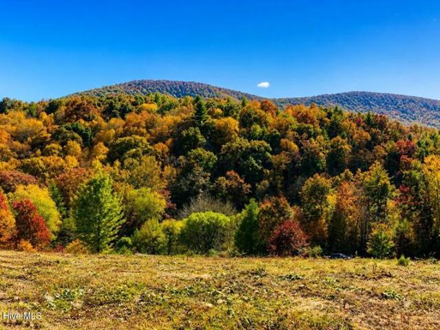 Land for sale in Alleghany, North Carolina