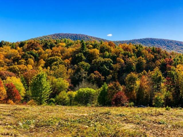 Land for sale in Alleghany, North Carolina