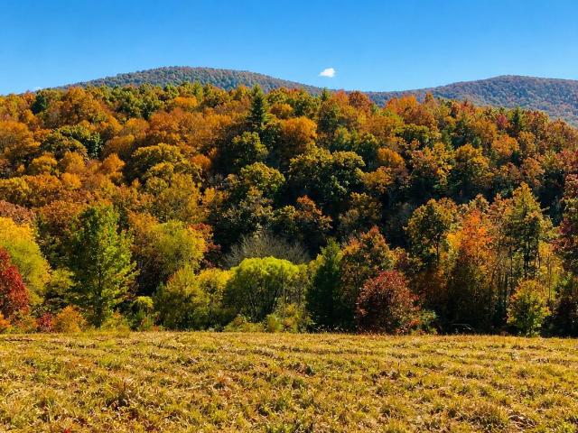 Land for sale in Alleghany, North Carolina