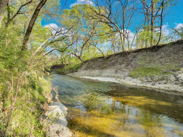Property for sale in Ellis, Texas