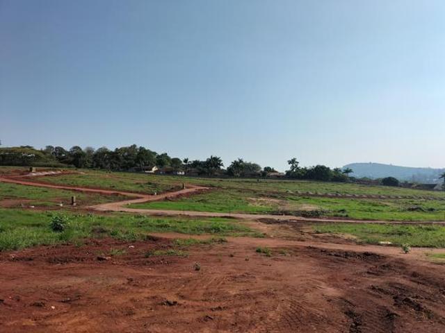 Land for sale in Mopani, Limpopo