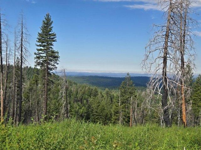 Land for sale in Grizzly Flats, California