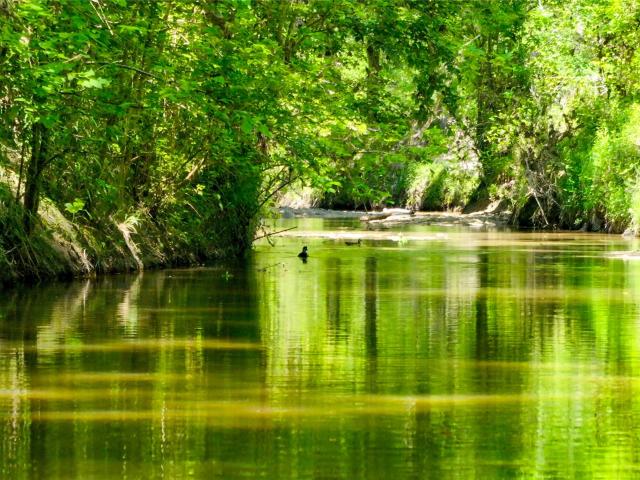 Farm for sale in Hallettsville, Texas