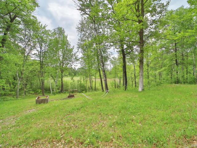 Land for sale in Hackensack, Minnesota