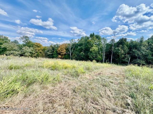 Land for sale in Manton, Springfield