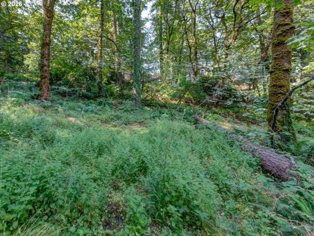 Land for sale in Oregonia
