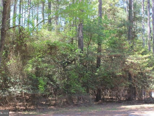 Land for sale in Virginia