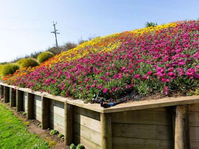 House for sale in Waiuku
