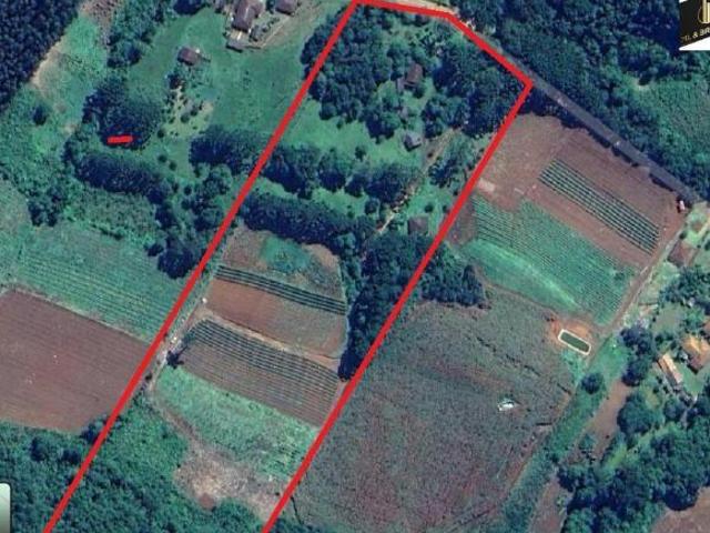 Sitio venda em Campo Magro