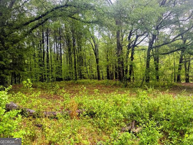 Land for sale in Zebulon, Georgia