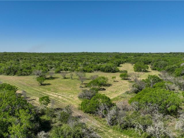 Land for sale in George West, Texas