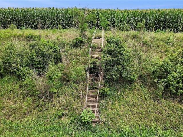 Farm for sale in Dearborn, Platte County
