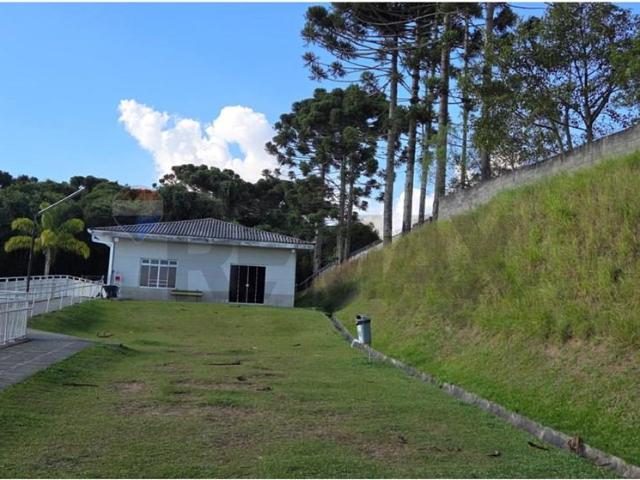 Apartamento aluguel em Região Geográfica Imediata de Curitiba, Região Metropolitana de Curitiba