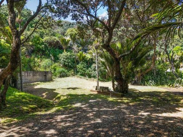 Land for sale in Piha